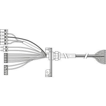 G1-UNI-MS_P-BR-UNI-10A