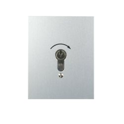 S-EPZ 1-1T/1 flush-mounted key switch 1-sided push-button/latching