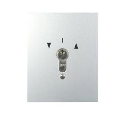 S-EPZ 1-2T/1 flush-mounted key switch 2-sided push-button/latching